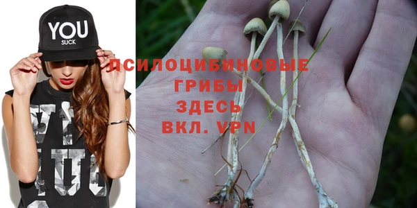 ешки Ростов